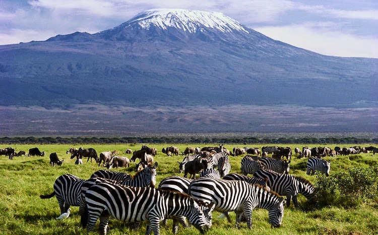 Amboseli National Park