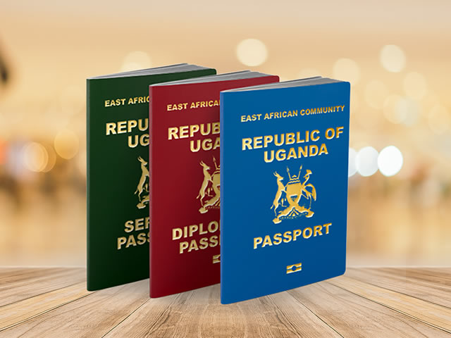 Passport and Visa