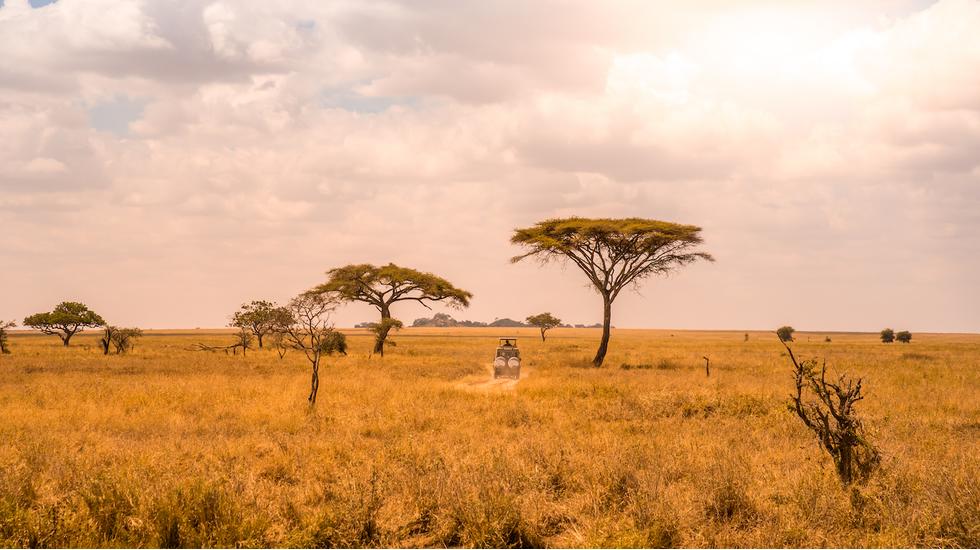 Uganda Safari